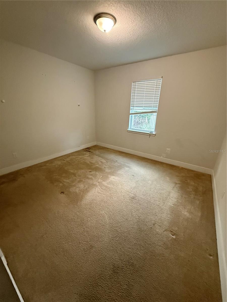 481 Lasso Dr Property Photo 10