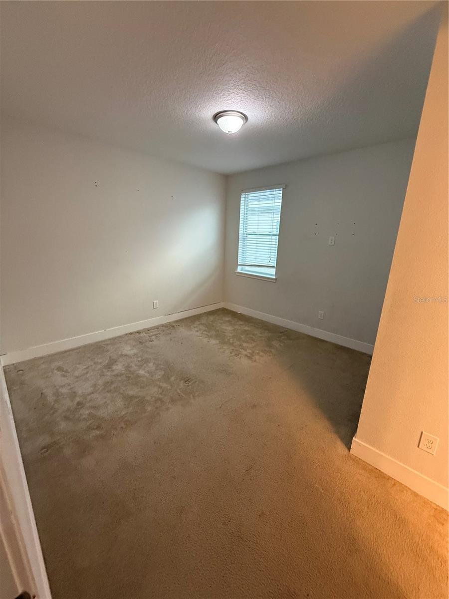 481 Lasso Dr Property Photo 17