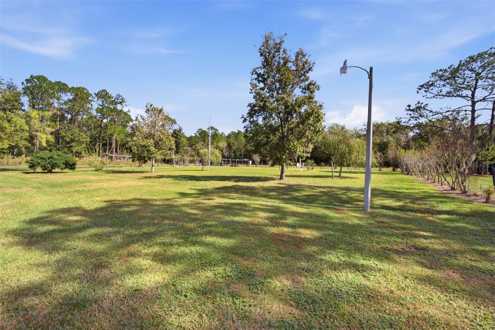 9240 Moore Rd Property Photo 49