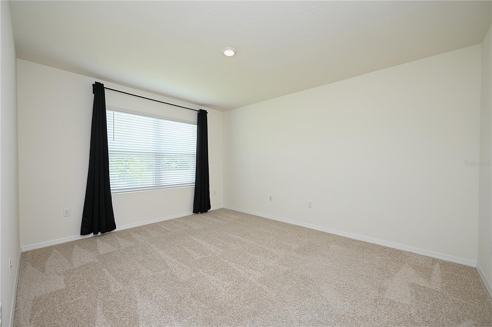 3457 Mystic Pond Loop Property Photo 15