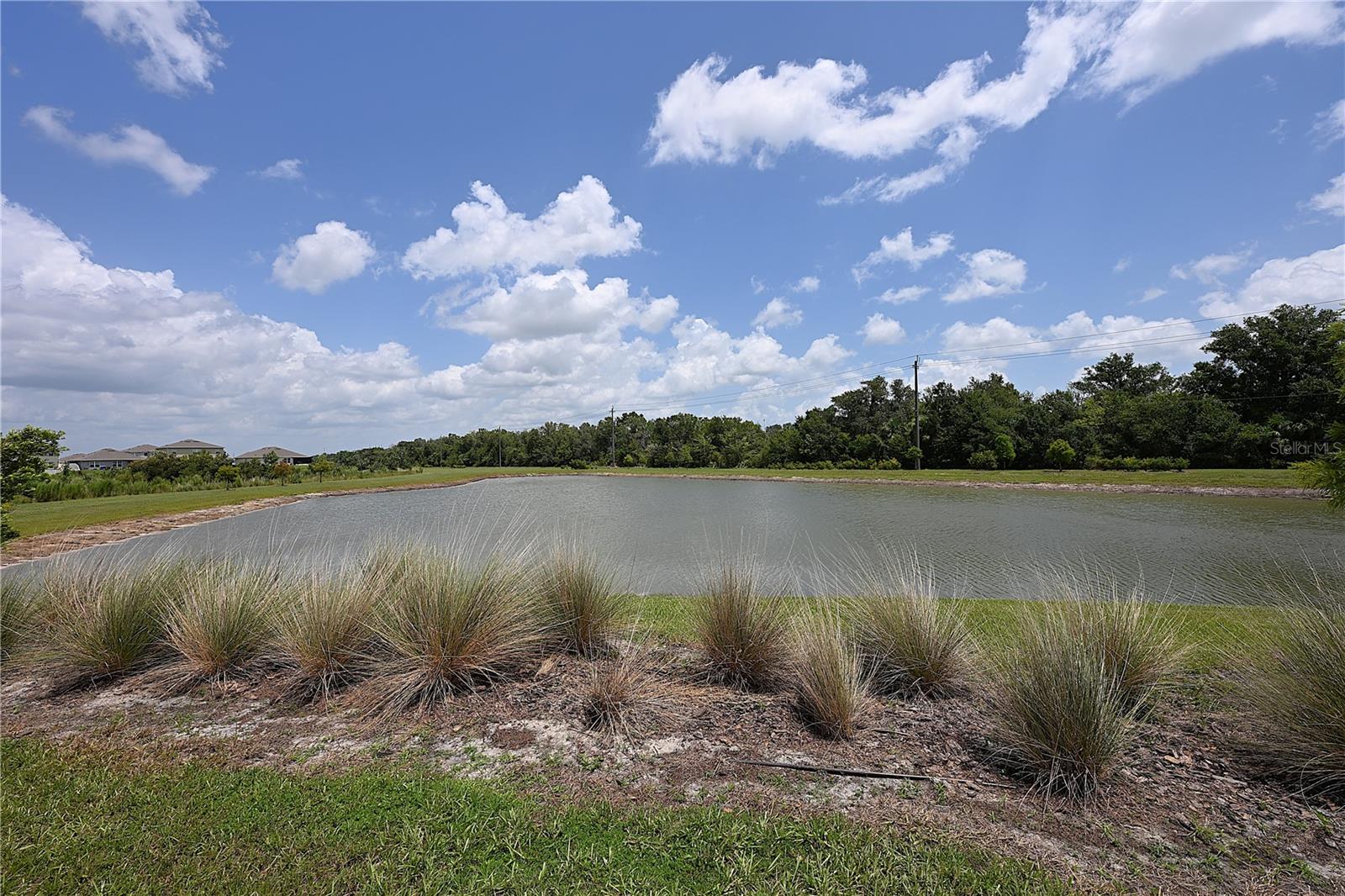 3457 Mystic Pond Loop Property Photo 42