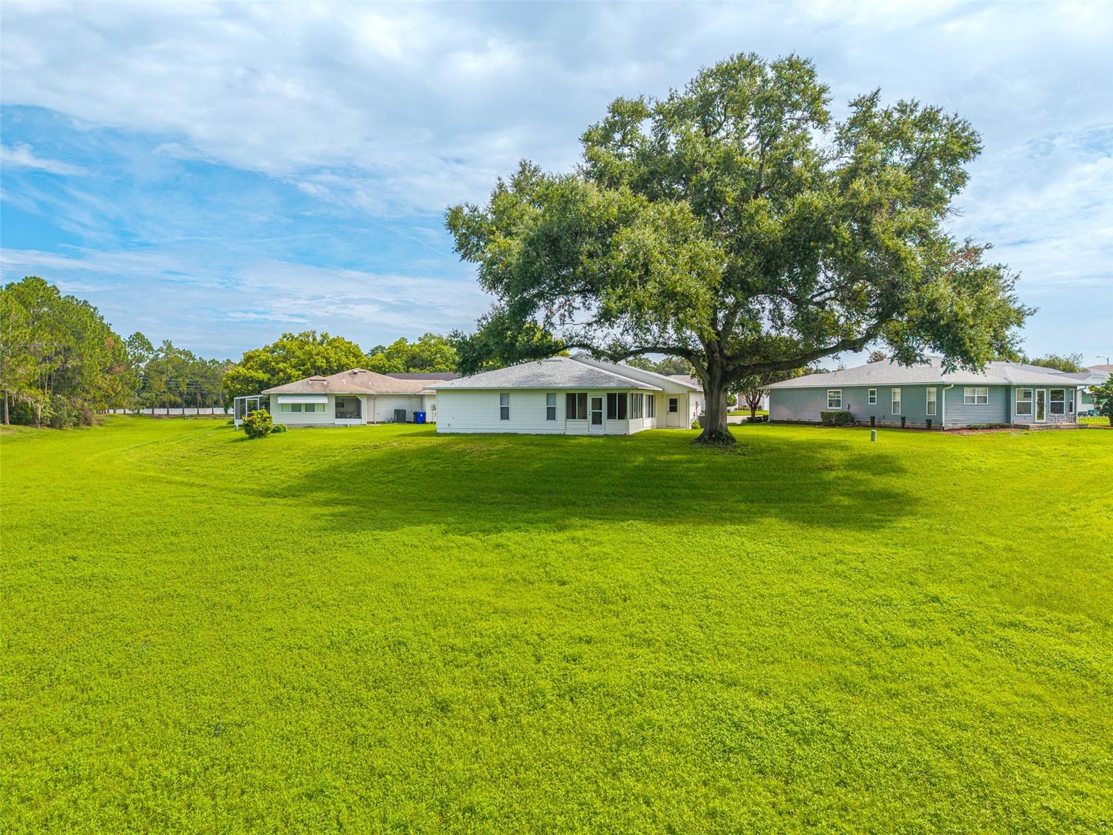 2260 Grand Cypress Dr Property Photo 25