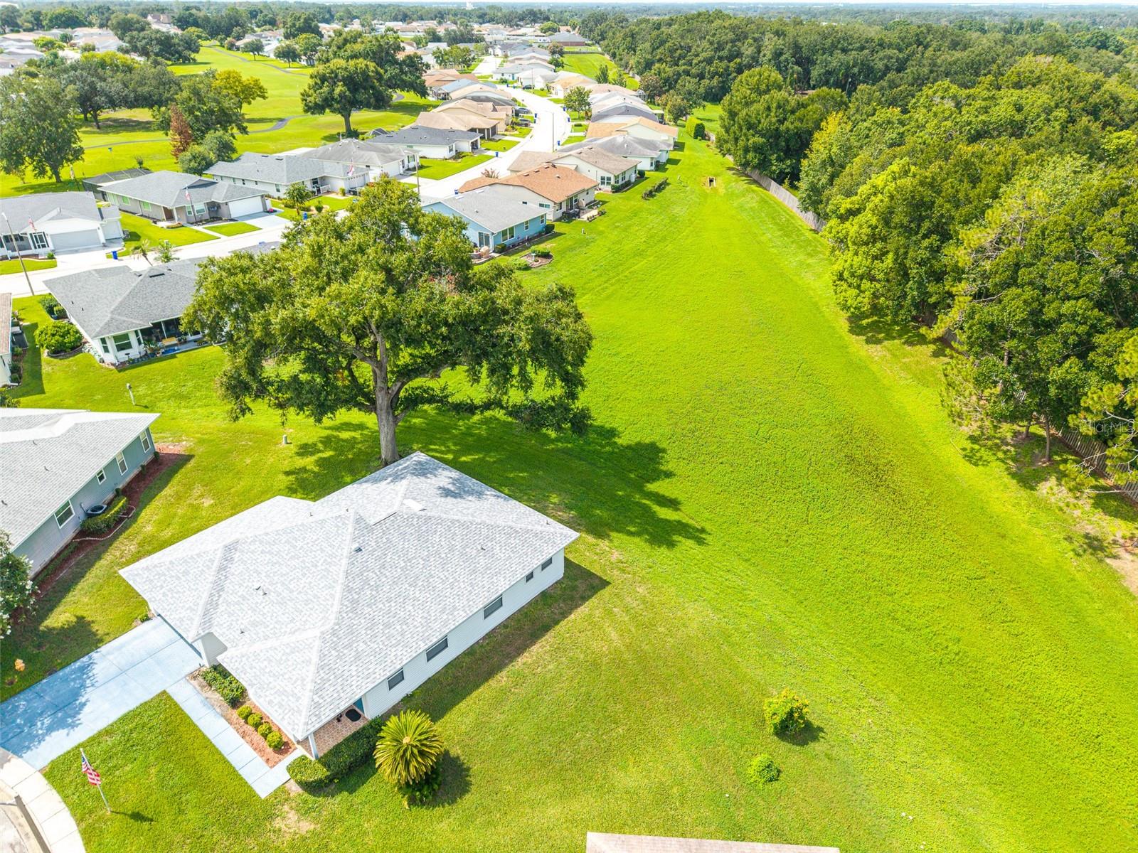 2260 Grand Cypress Dr Property Photo 40