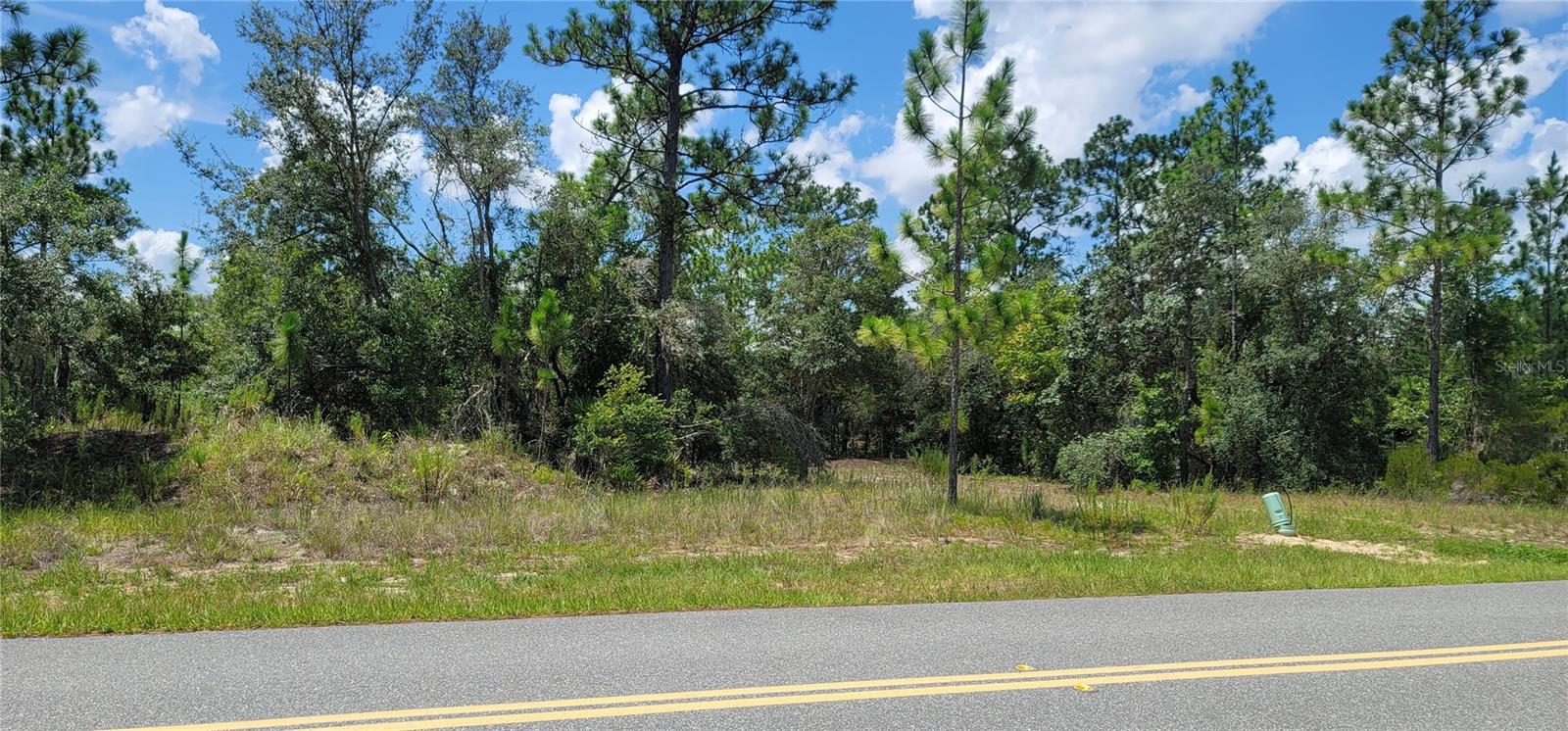 10339 N G Martinelli Blvd Property Photo 8