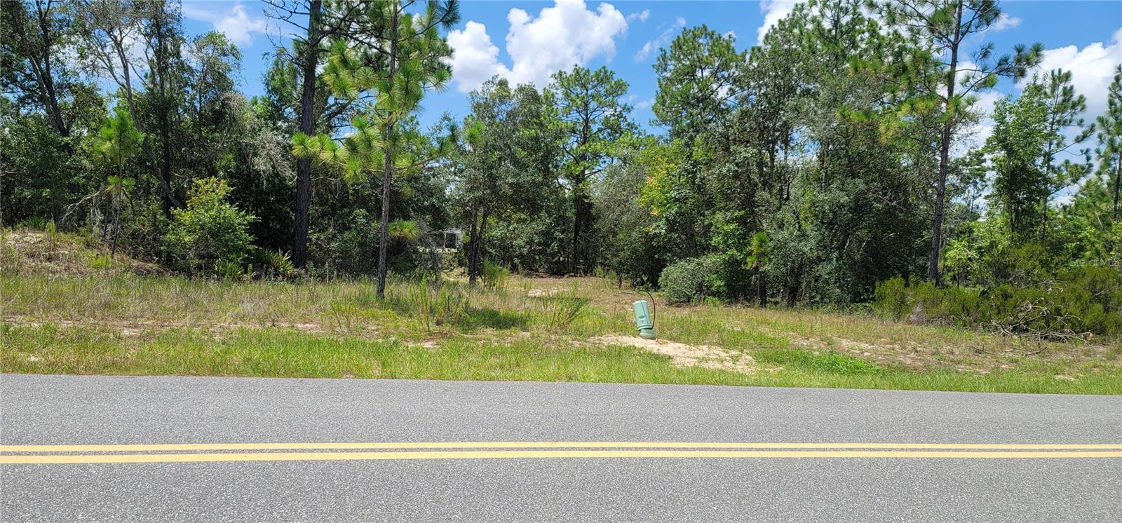 10339 N G Martinelli Blvd Property Photo 9