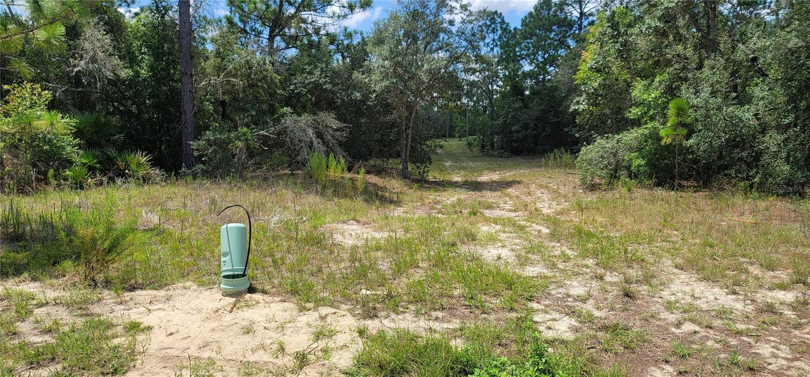 10339 N G Martinelli Blvd Property Photo 10