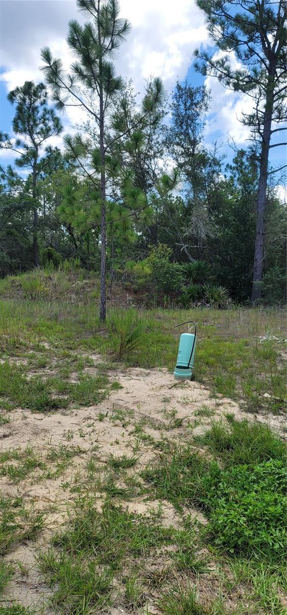 10339 N G Martinelli Blvd Property Photo 11