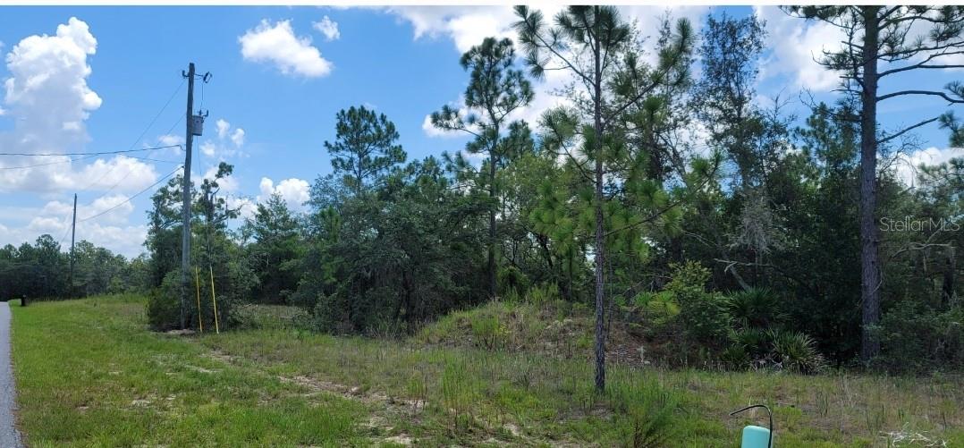 10339 N G Martinelli Blvd Property Photo 14