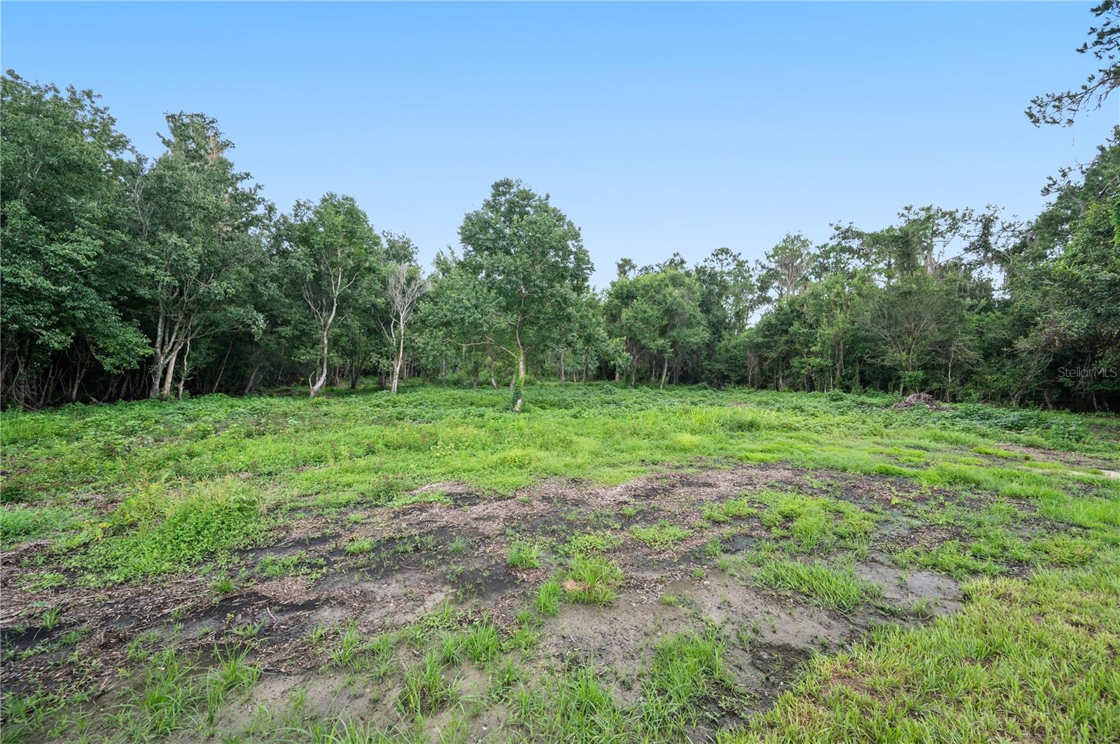11033 Sherrouse Rd Property Photo 39