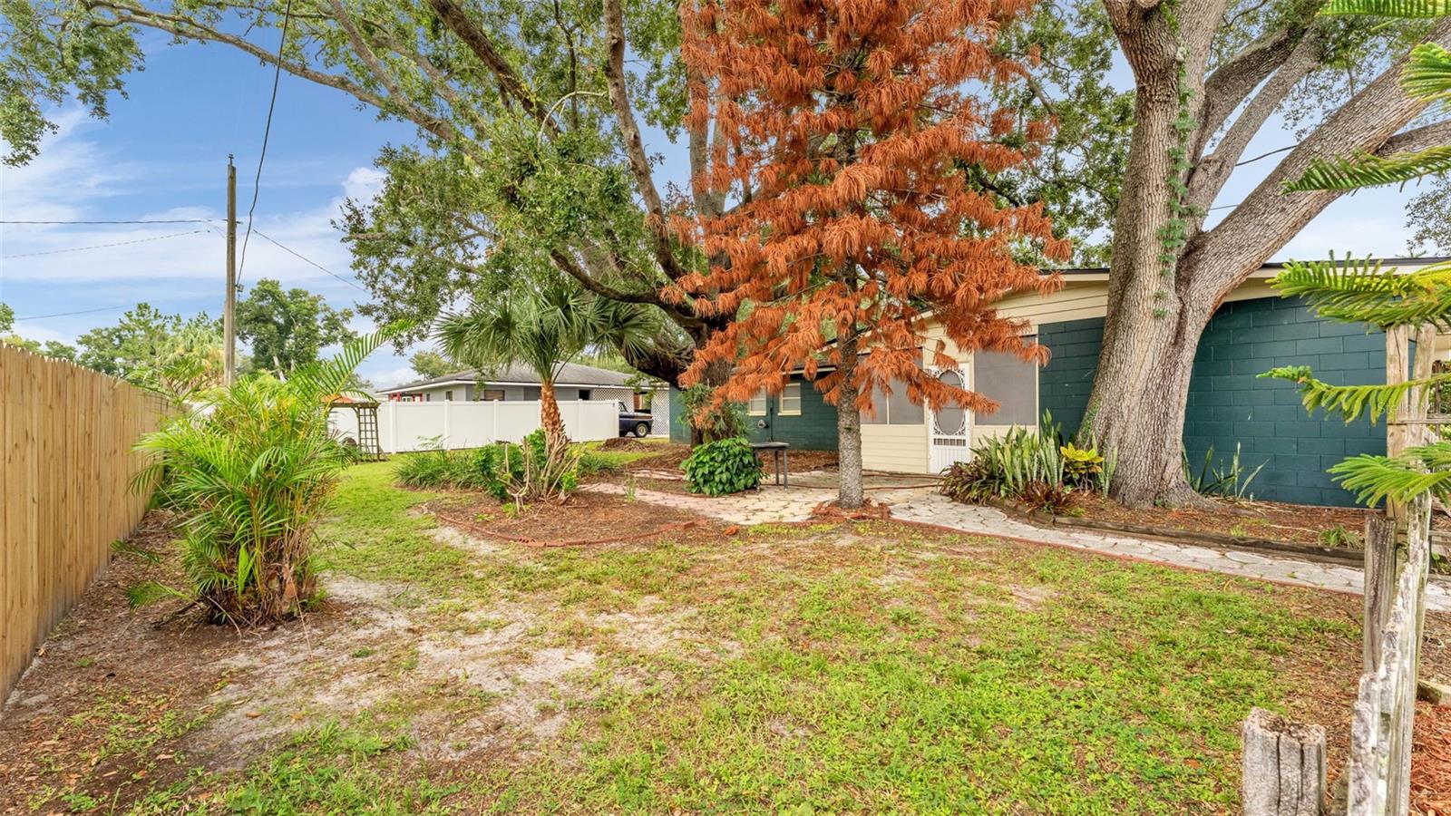 1733 Fredricksburg Ave Property Photo 63