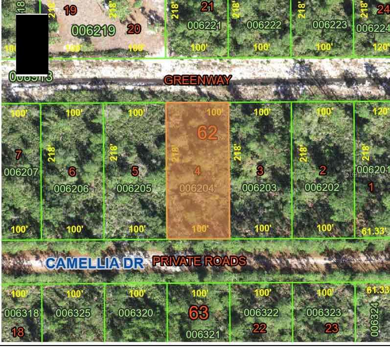 Camellia Dr Property Photo 1
