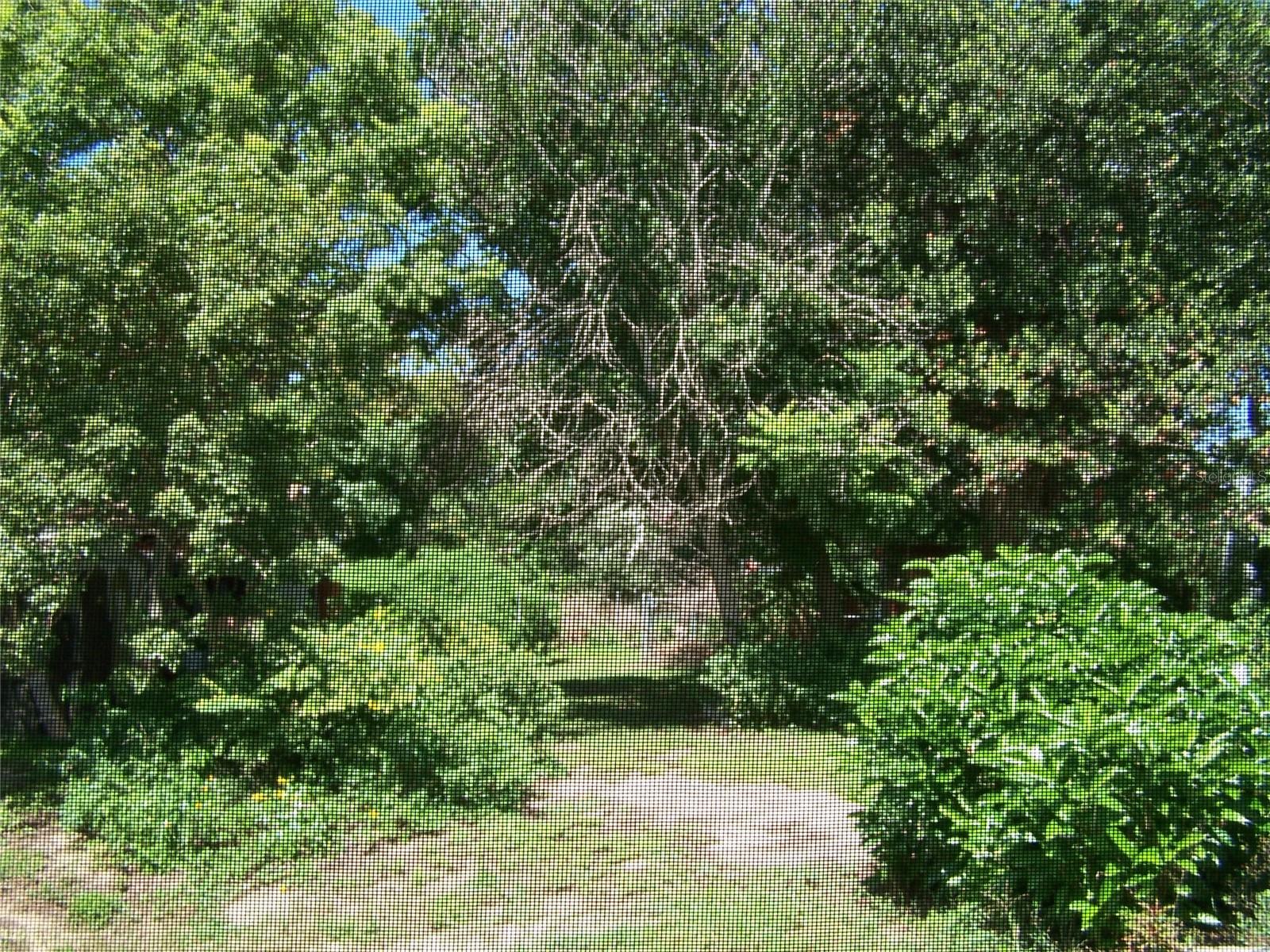 6061 Strickland Ave Property Photo 37