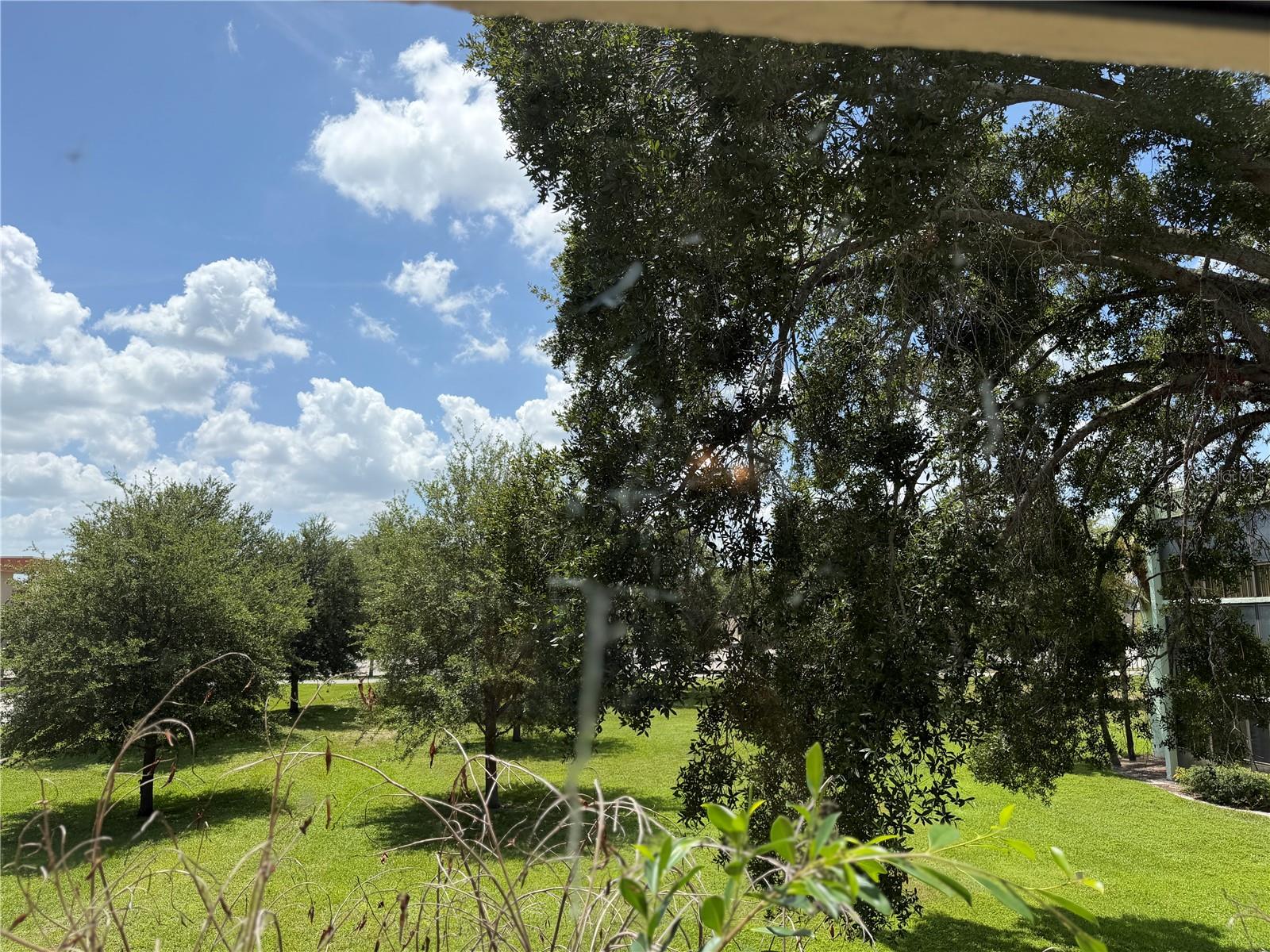 1130 N Lake Parker Ave #c229 Property Photo 28