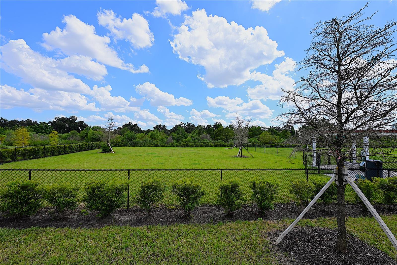 2106 Rosewood Dr Property Photo 50
