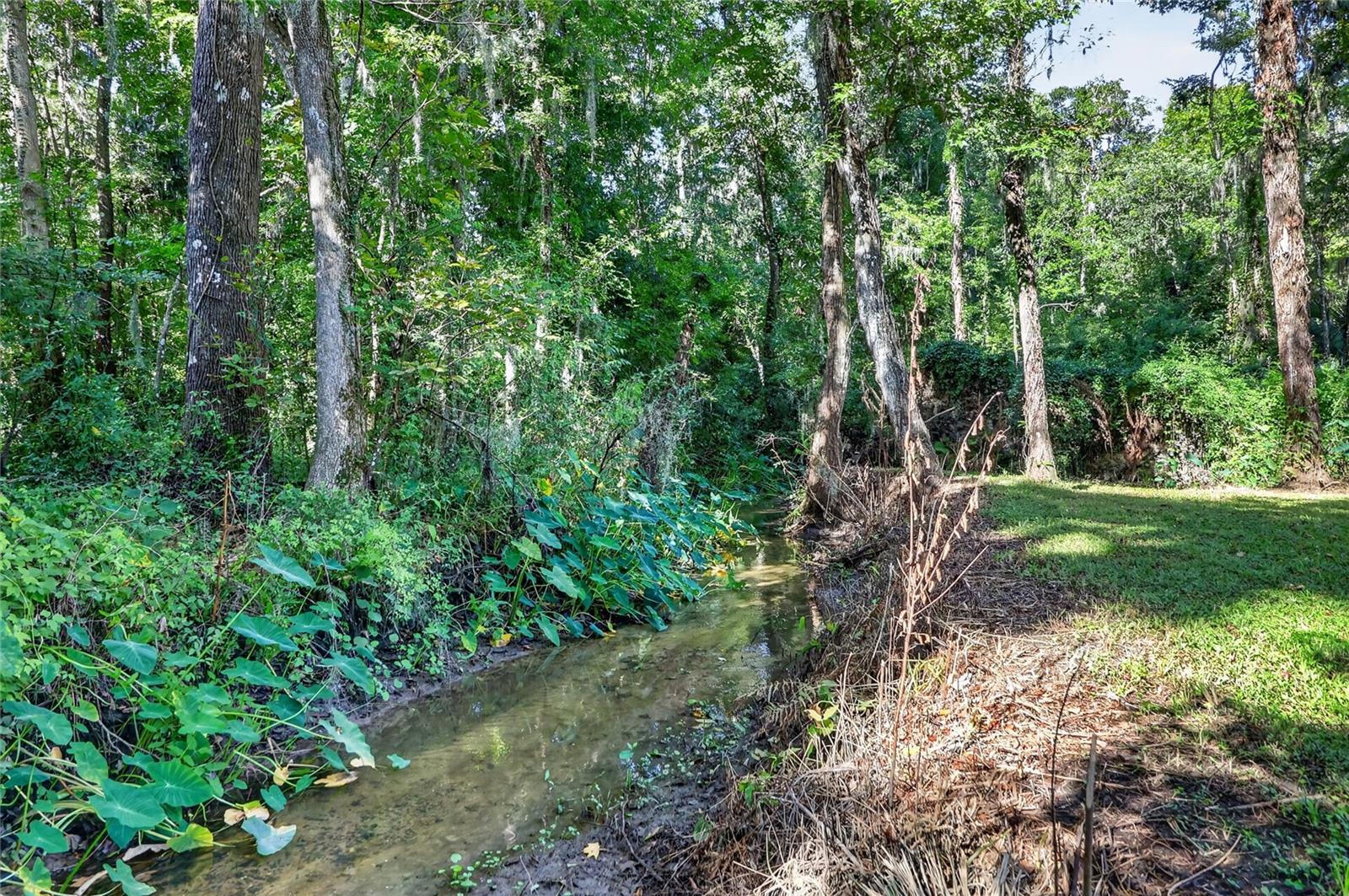 2628 Longwood Dr Property Photo 60