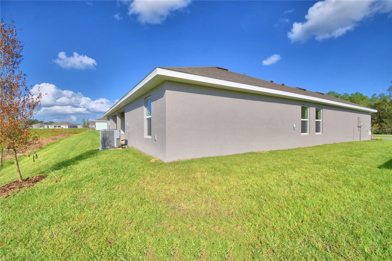 4645 Calamint Ln Property Photo 5