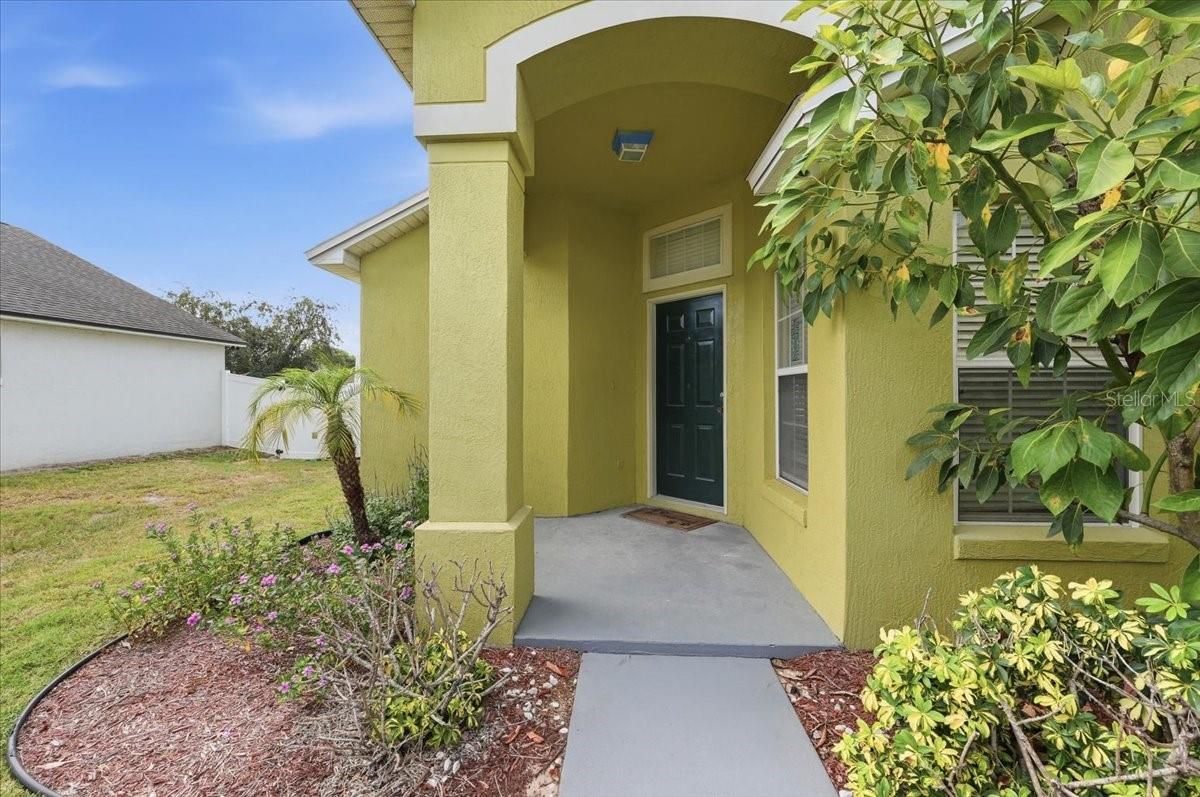 7432 Jessamine Dr Property Photo 3