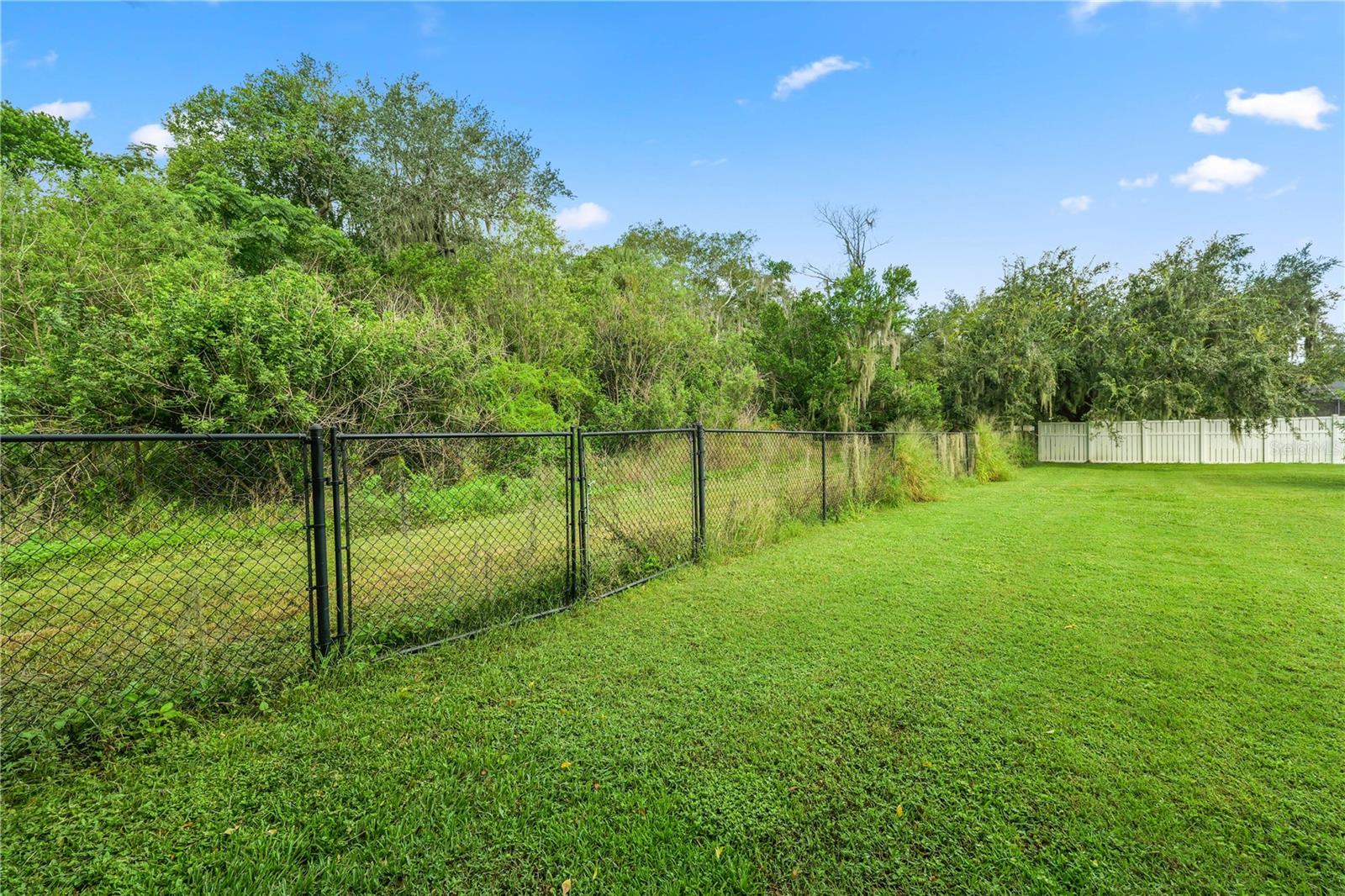 1127 Pinecrest Dr Property Photo 49