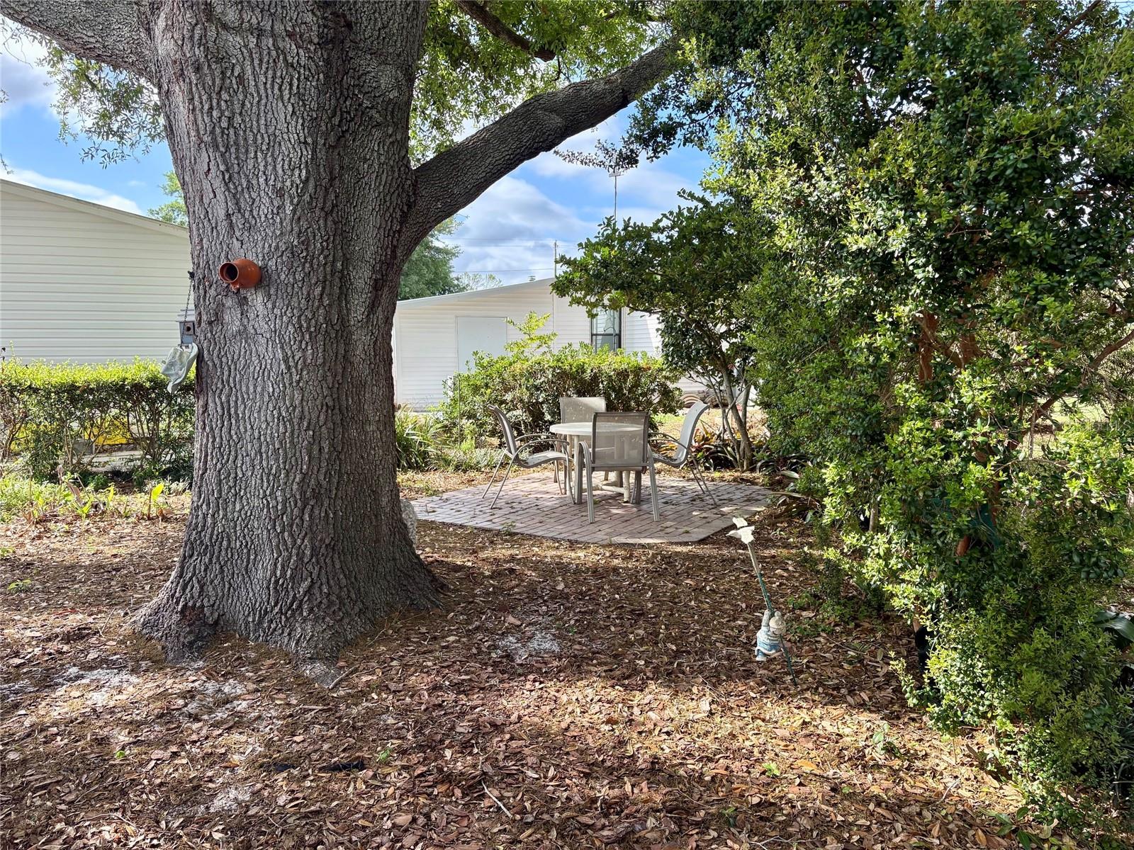 6600 Scenic Point Dr Se Property Photo 27