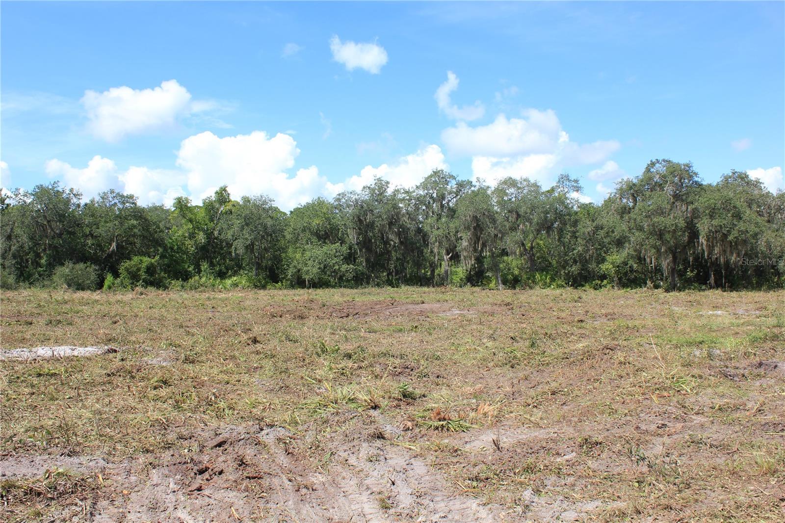 Deer Rd Property Photo 15