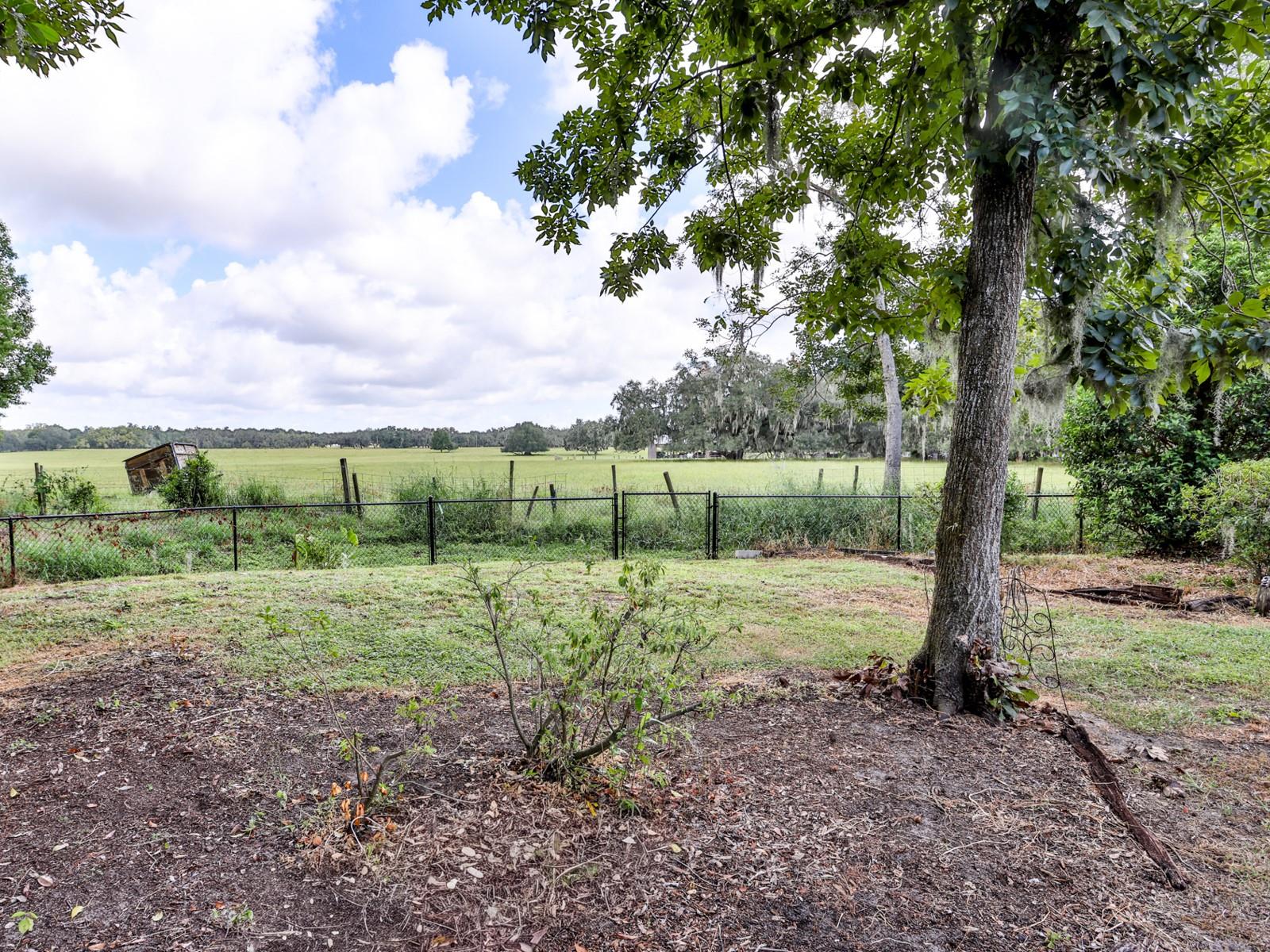 6103 Sky Flower Ct Property Photo 8