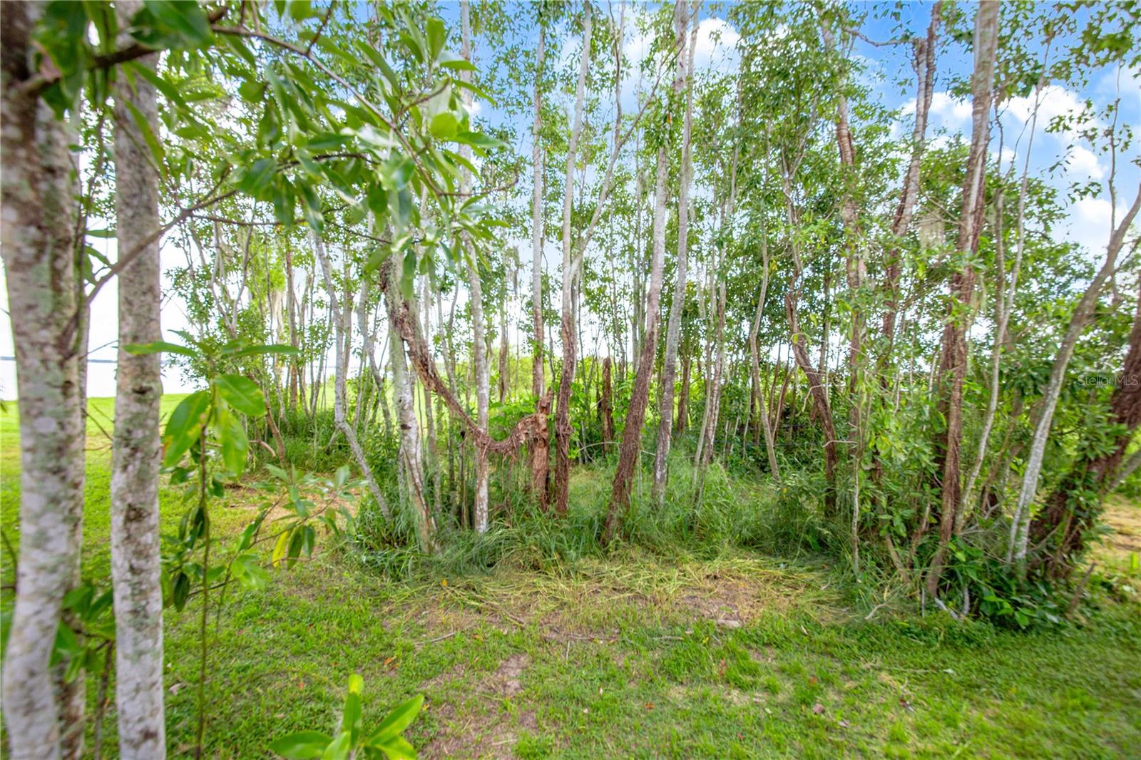 2427 Black Rd Property Photo 35