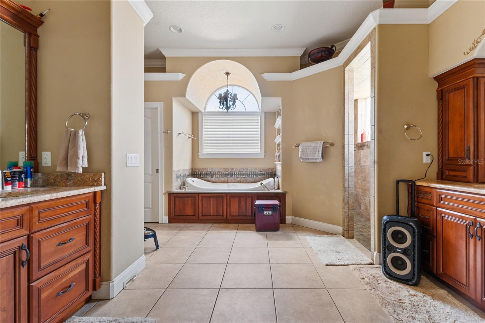 9513 Waterford Oaks Blvd Property Photo 27