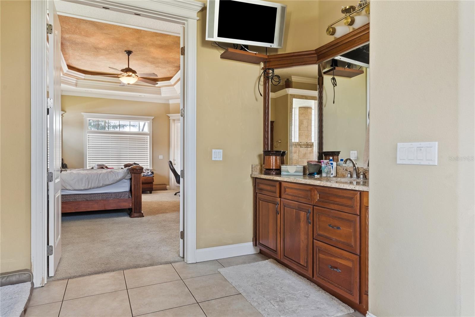 9513 Waterford Oaks Blvd Property Photo 28