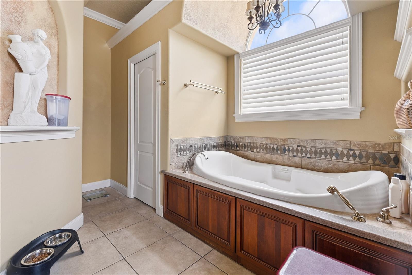 9513 Waterford Oaks Blvd Property Photo 31