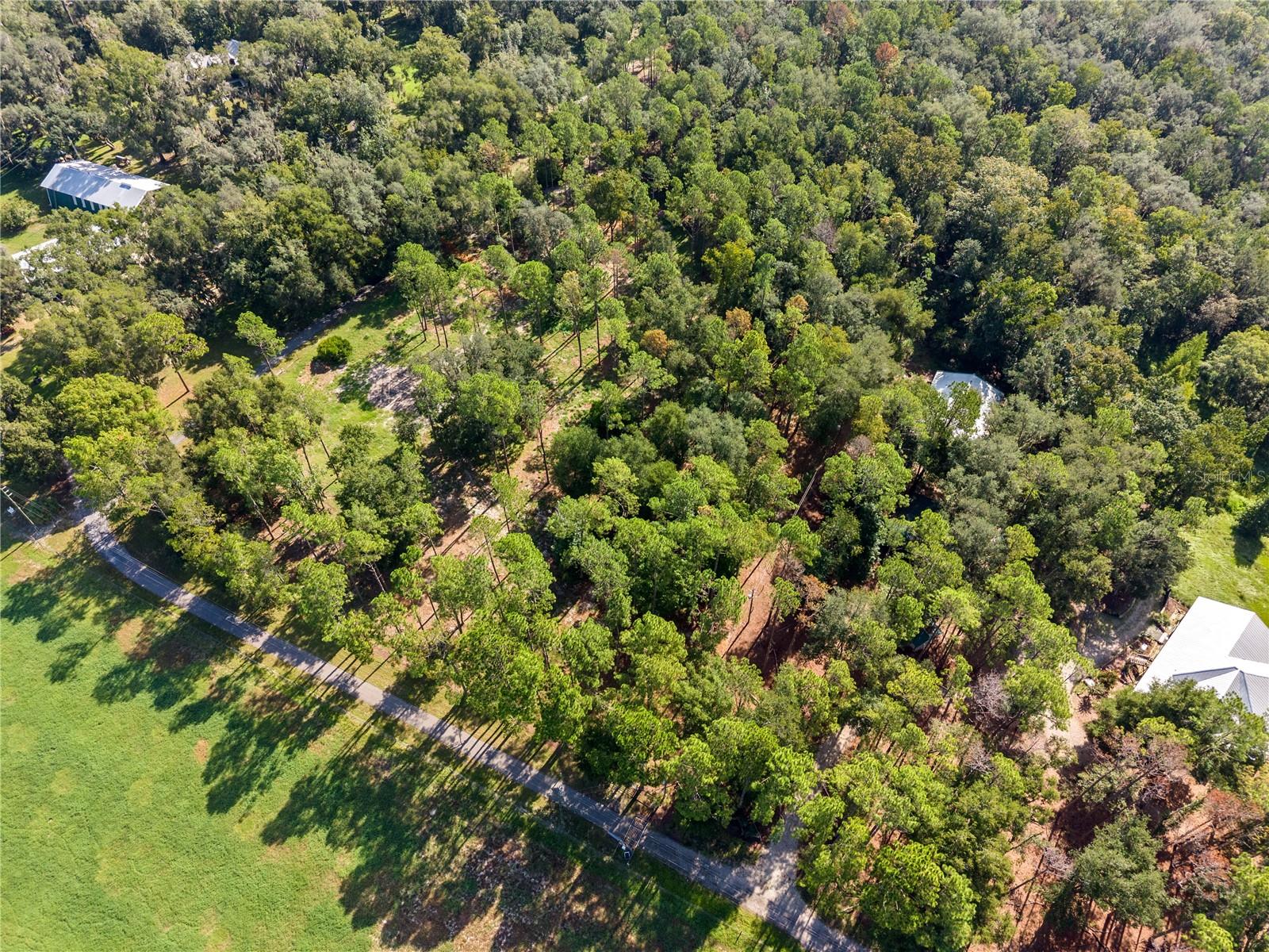 1230 Katie Wood Trl Property Photo 1