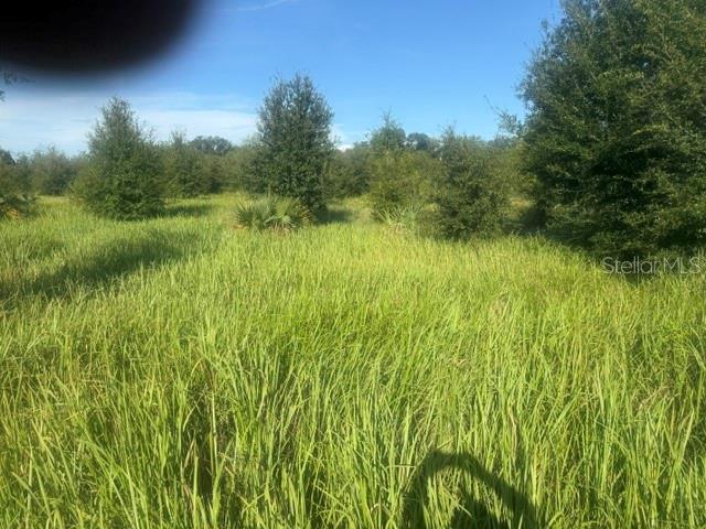 WELCOME RD #Lot 1 Property Photo 1