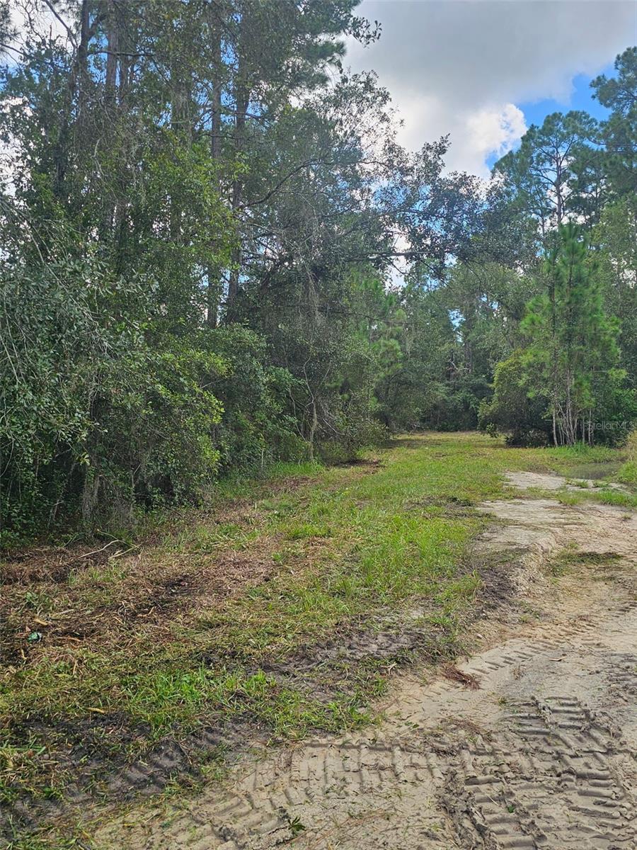 1746 Country Woods Dr Property Photo 1