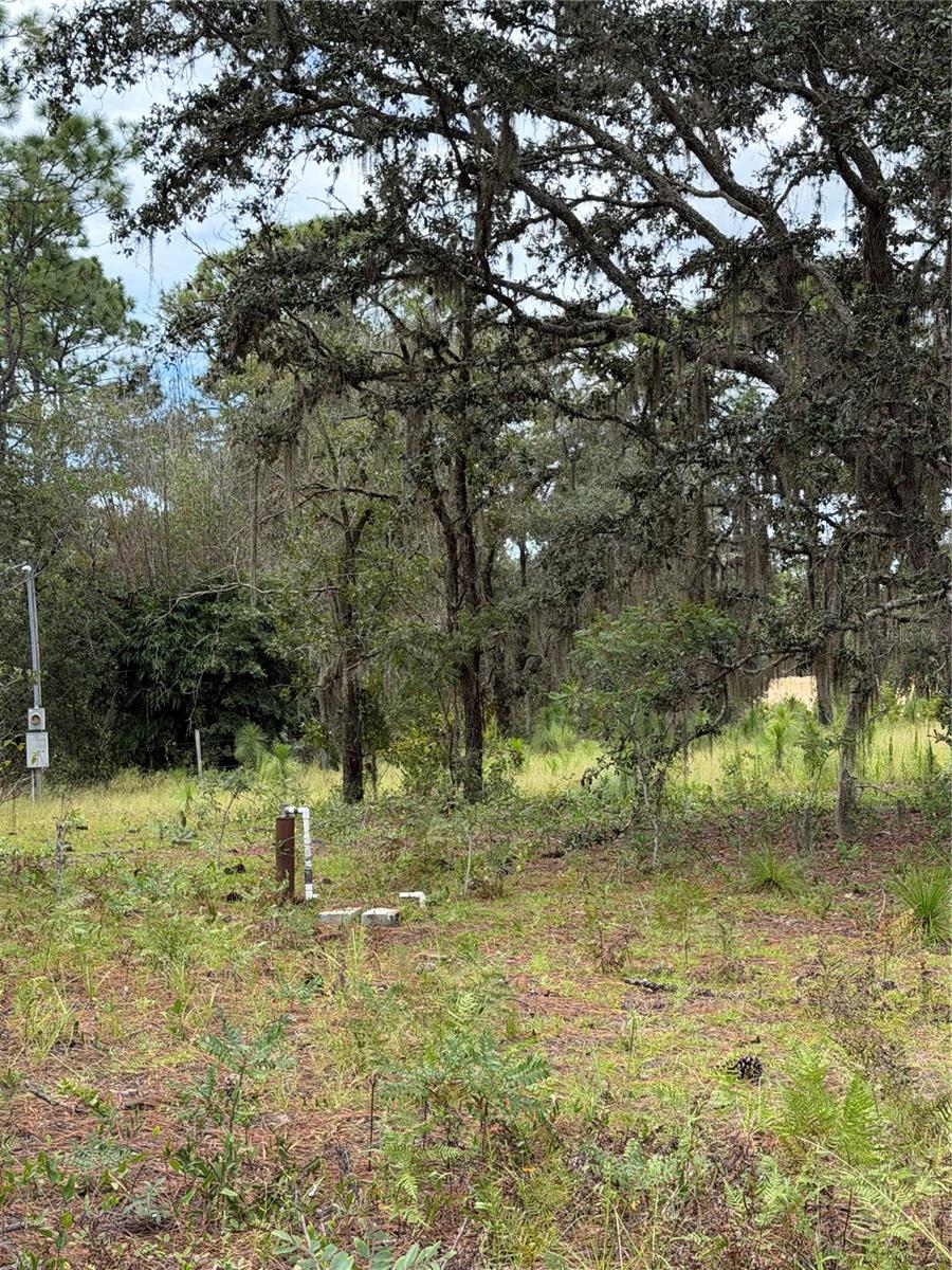4914 N Windy Gap Pt Property Photo 4