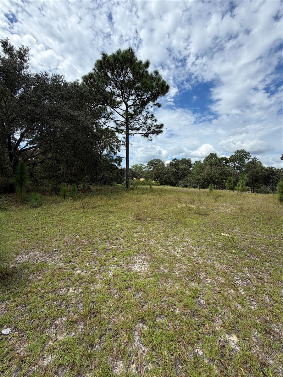 4914 N Windy Gap Pt Property Photo 6