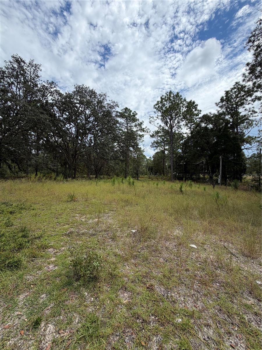 4914 N Windy Gap Pt Property Photo 7