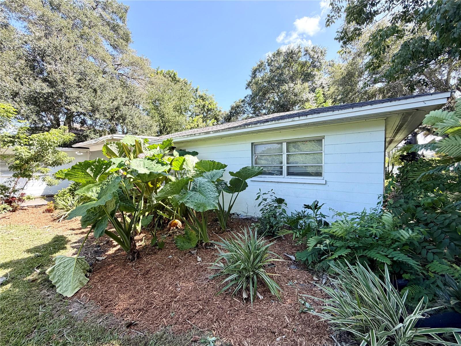 2035 Shakespeare St Property Photo 3