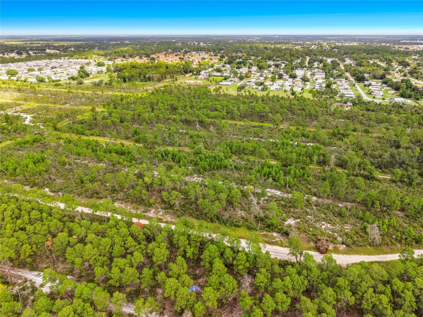443 Parrot Ave Property Photo 4