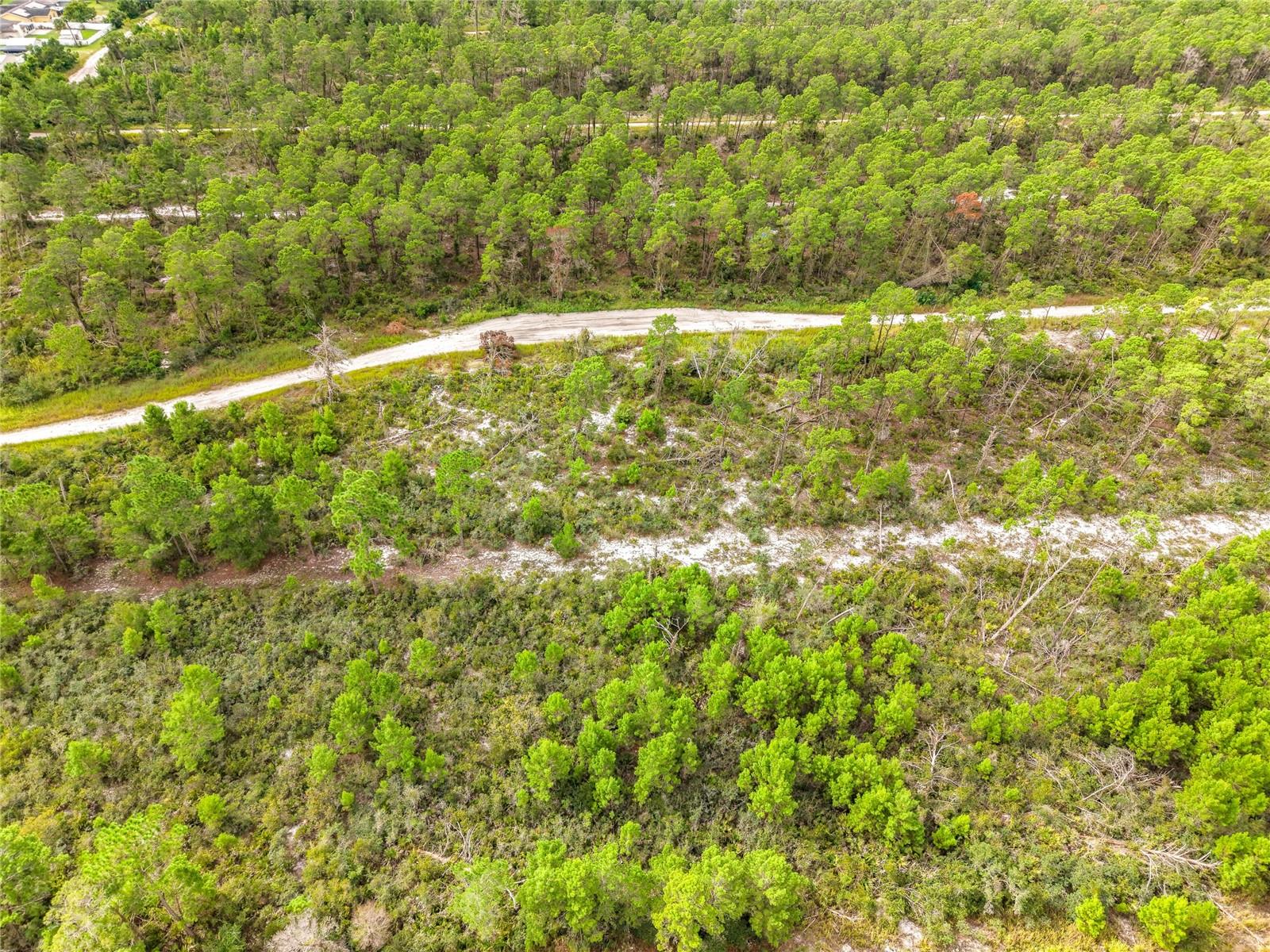 443 Parrot Ave Property Photo 15