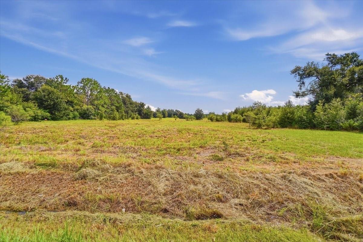 2929 Al Simmons Rd Property Photo 15