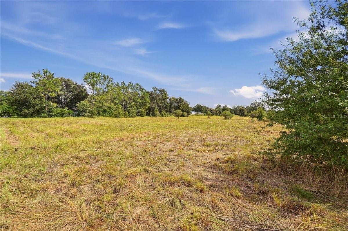 2929 Al Simmons Rd Property Photo 17