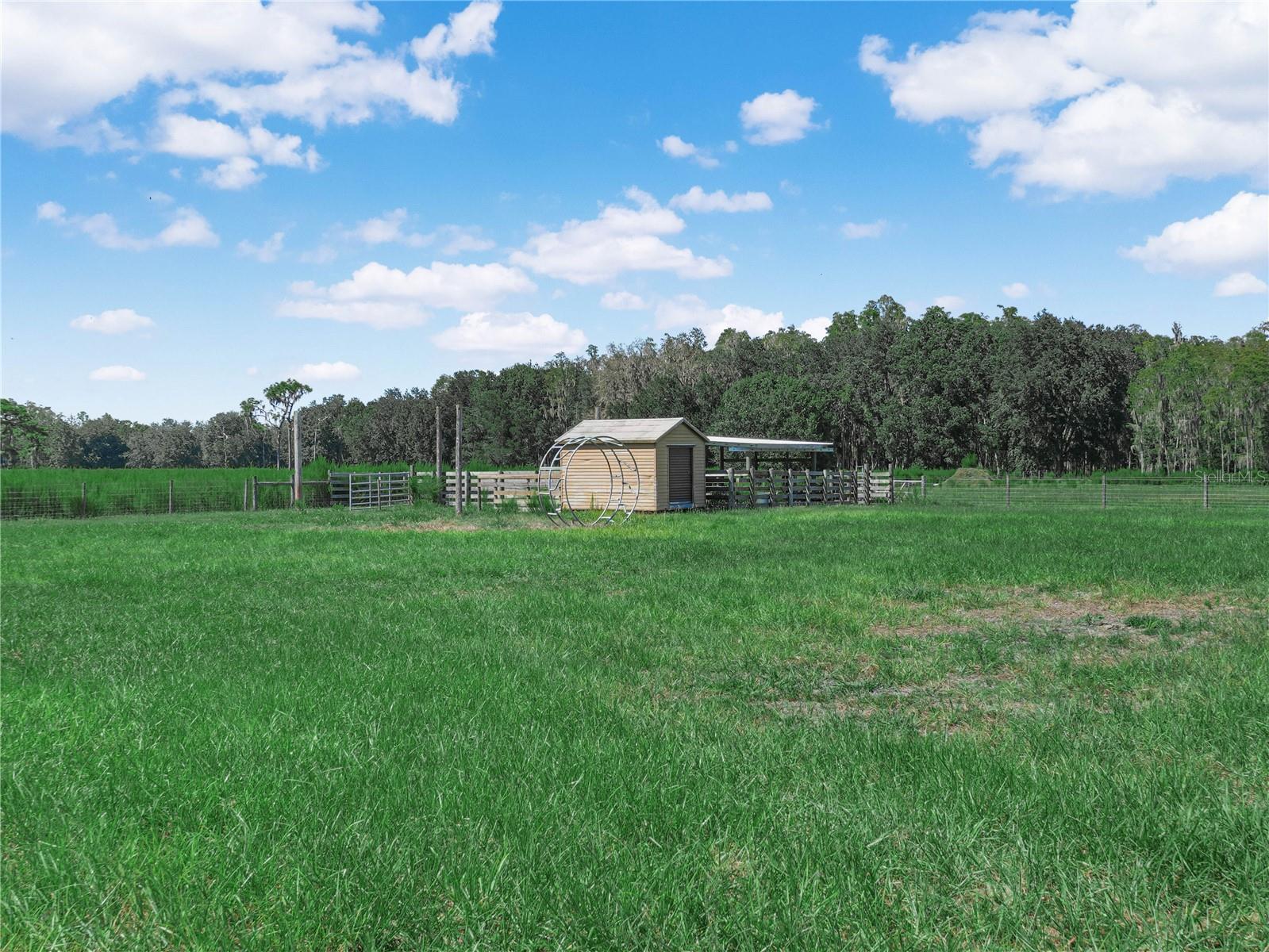 15155 Rockridge Rd Property Photo 37