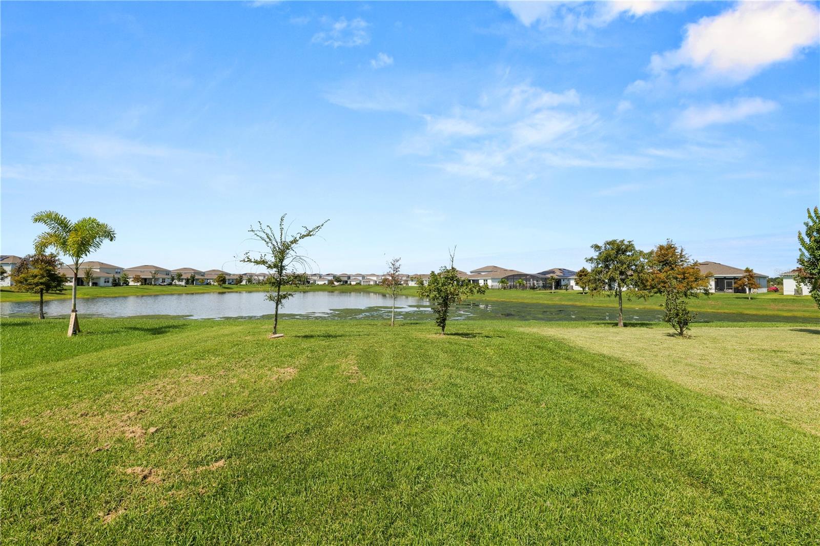 1852 Summer Serenity Dr Property Photo 25