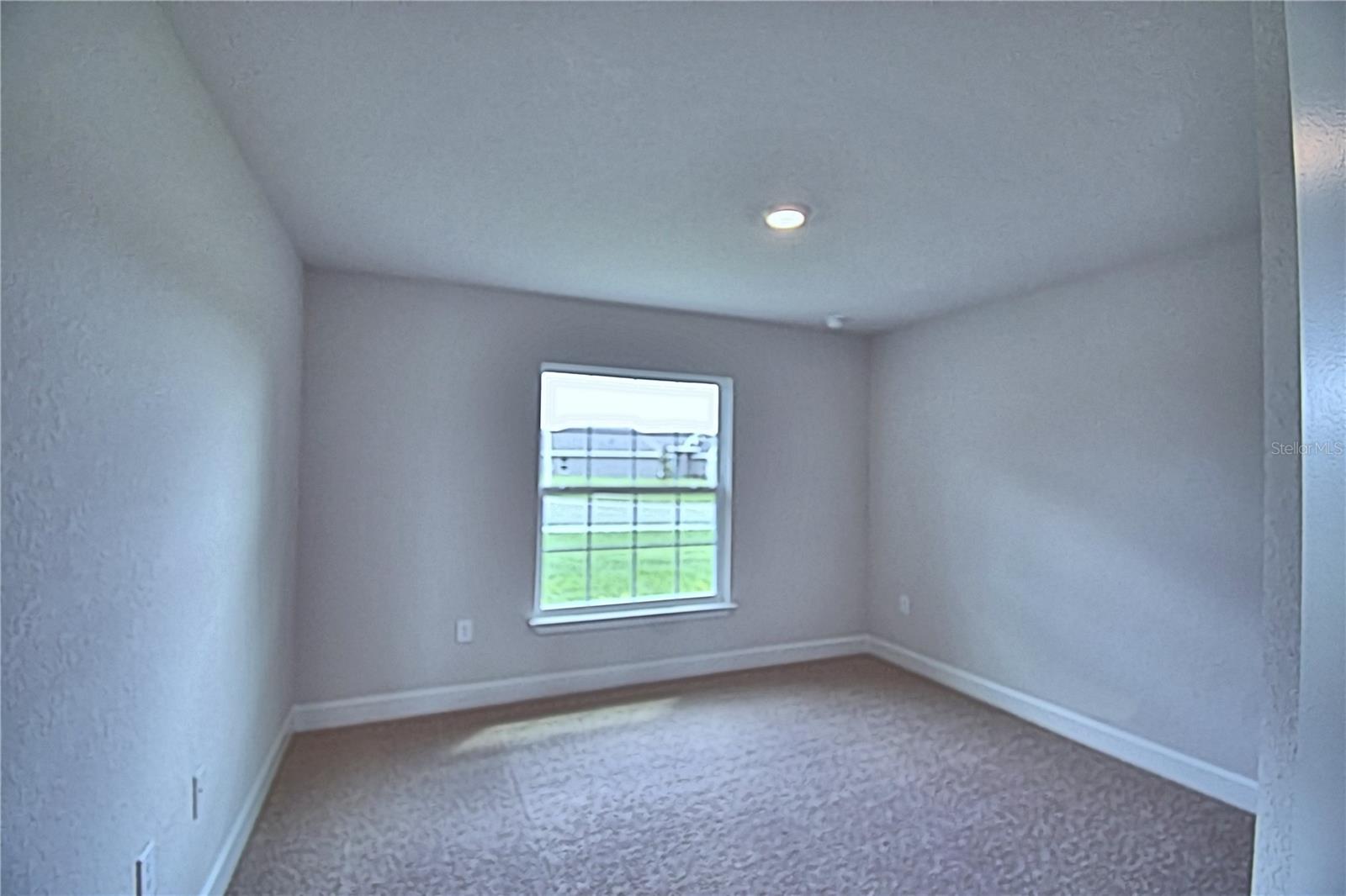 4507 Sundew Ln Property Photo 18
