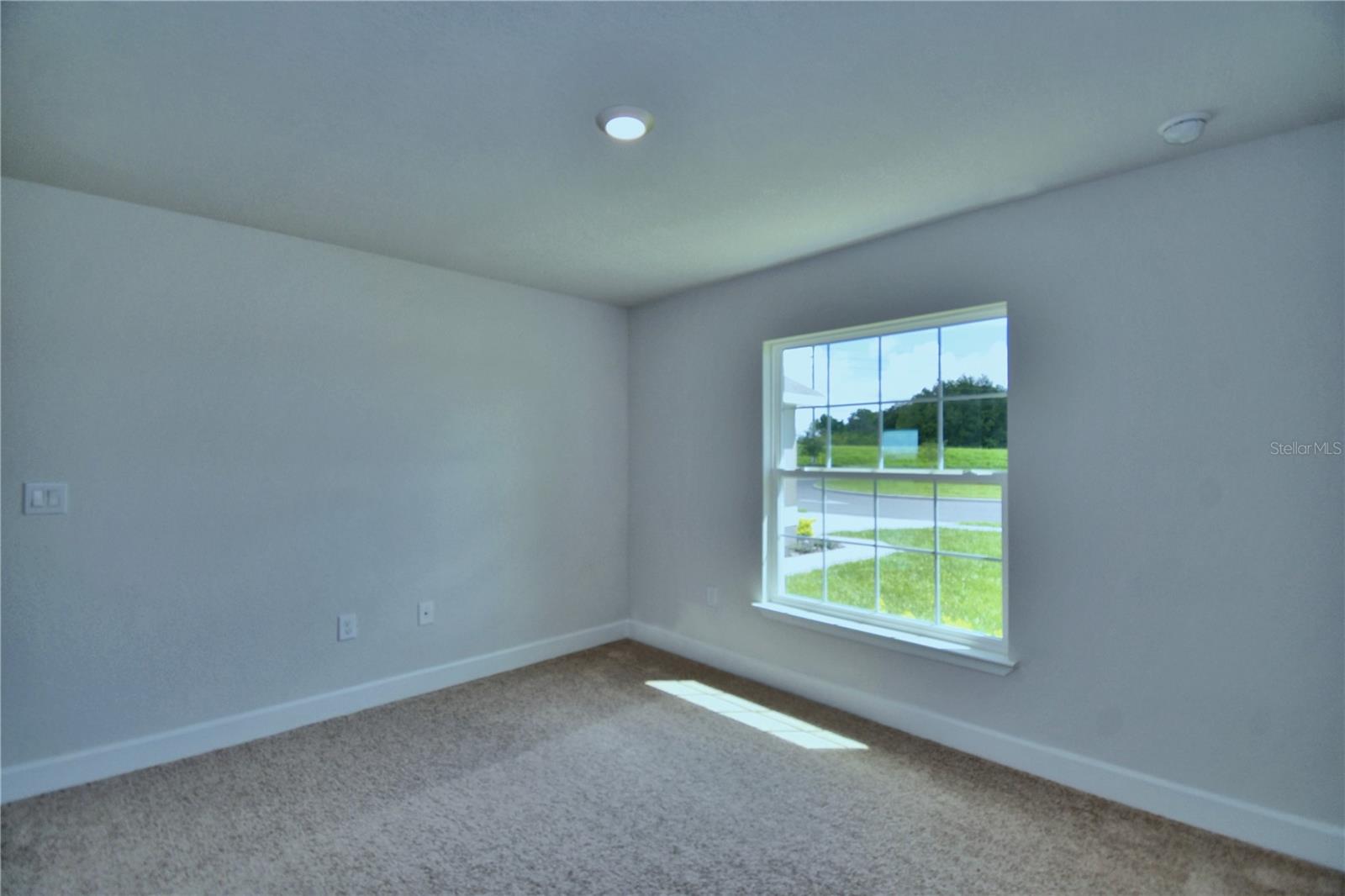 4507 Sundew Ln Property Photo 22