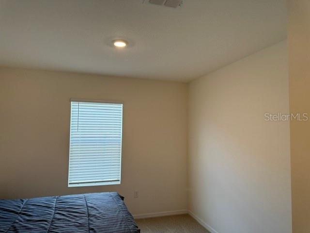 3818 Diving Dove Ln Property Photo 21