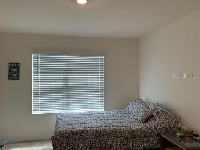 3818 Diving Dove Ln Property Photo 33