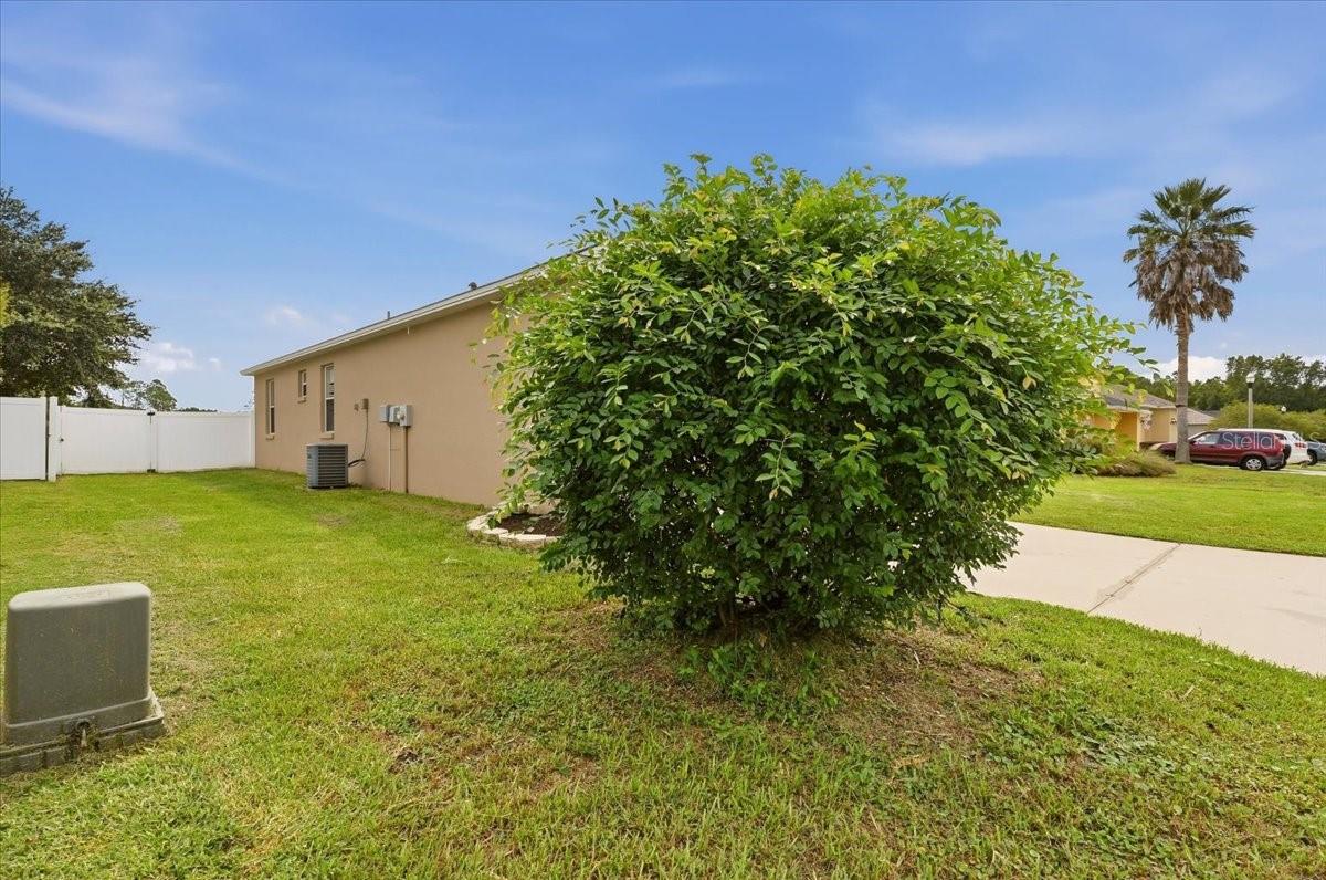 5014 Yellowtop Loop Property Photo 4