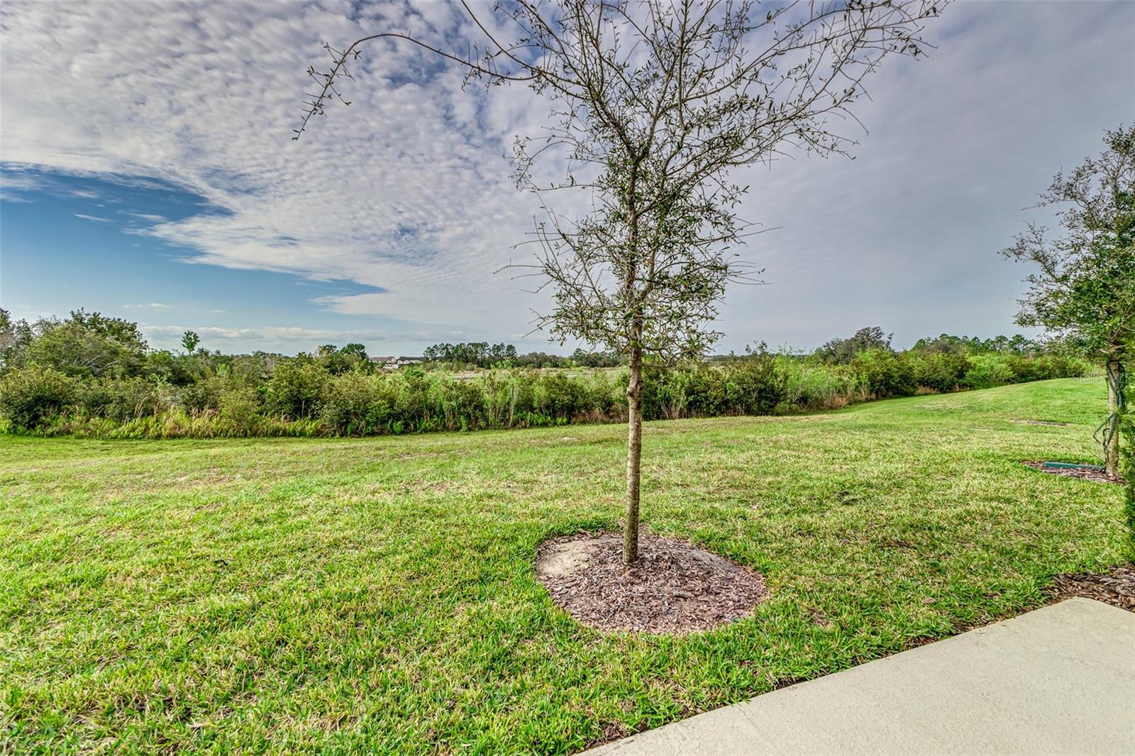 1748 Sanibel Dr Property Photo 39