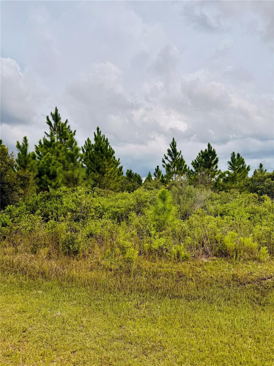 414 Camellia Dr #7 Property Photo 10