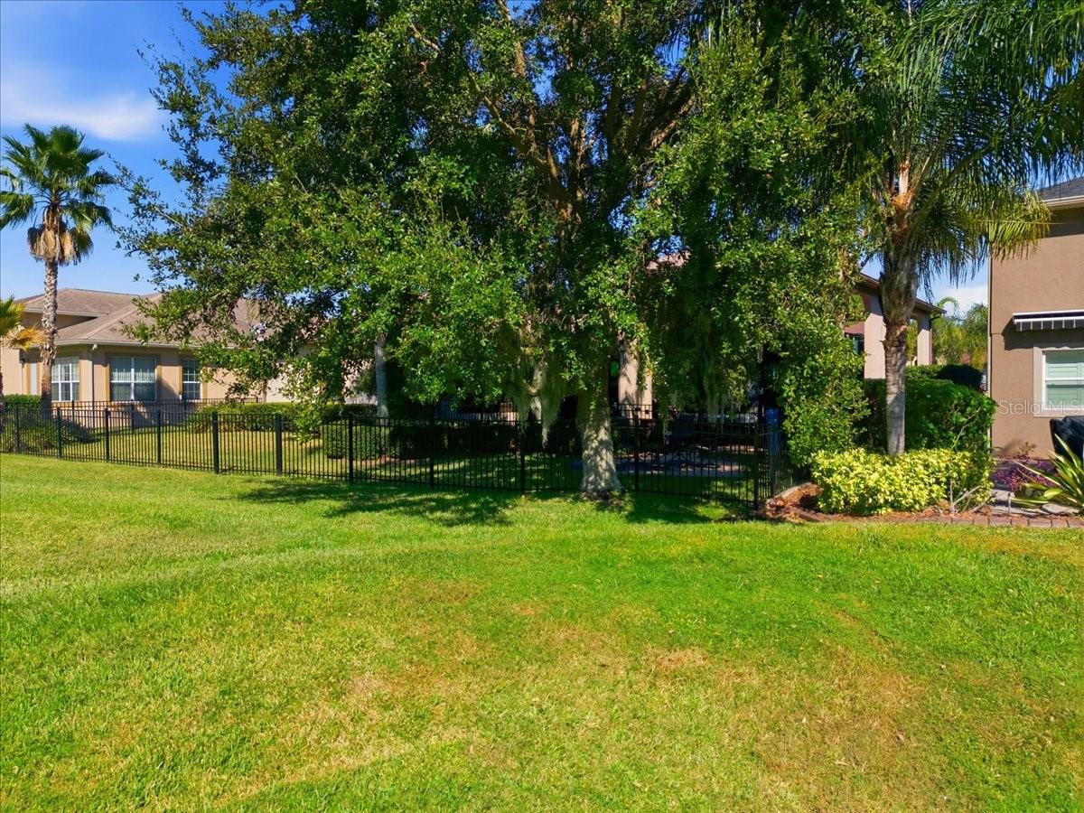 733 Meandering Way Property Photo 7